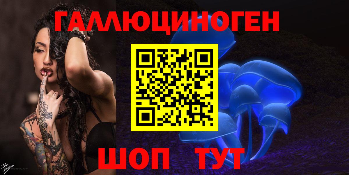 Соль-Илецк  Псилоцибиновые грибы Psilocybine cubensis  Вход с VPN  Псилоцибиновые грибы Cubensis 
